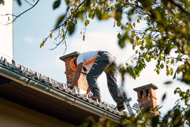 Best Metal Roofing Contractor  in Rapid City, SD