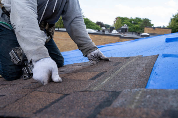 Quick and Trustworthy Emergency Roof Repair Services in Rapid City, SD